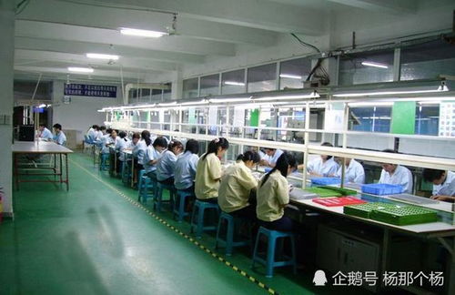 就我這樣的人折騰折騰,都能折騰出錢,更別說你們了